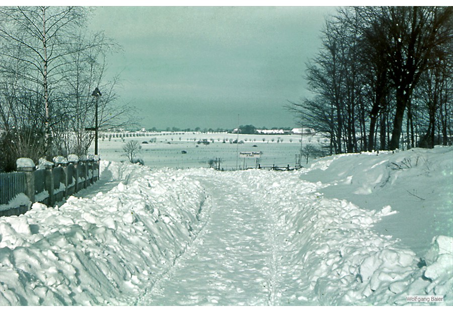 Blick aus dem Peter-Lurenz-Weg auf die Riekdahler Wiesen und Alt Bartelsdorf (1938)