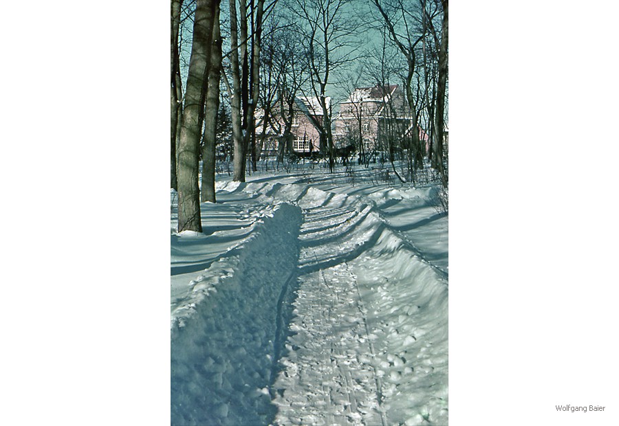 Blick aus dem Stadtwald auf die Tessiner Chaussee und den Kasper-Ohm-Weg (1938)