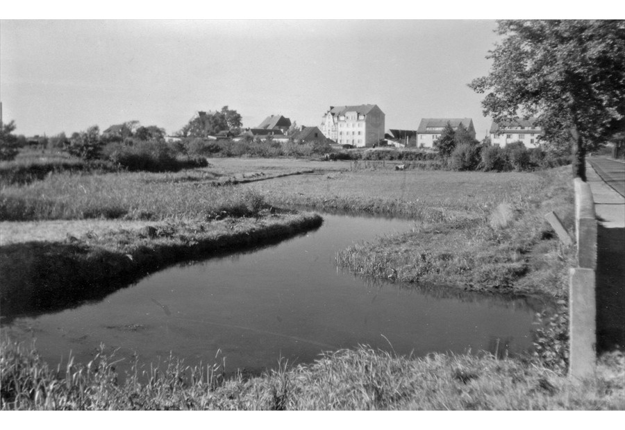 Carbäk am Verbindungsweg 1955. (Foto: Wolfgang Baier)