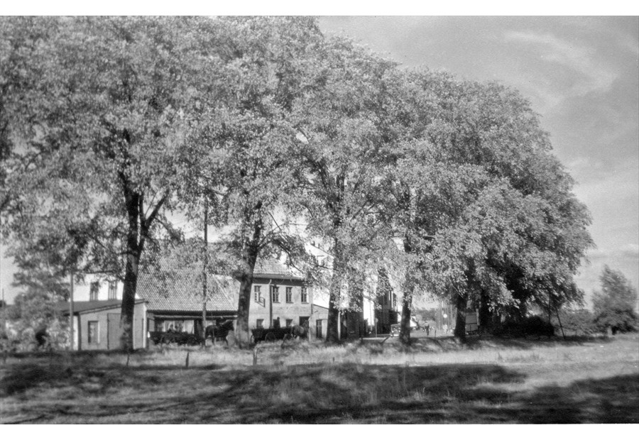 Petridamm 1955. (Foto: Wolfgang Baier)