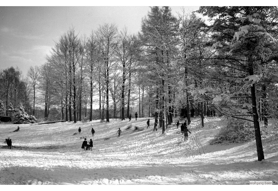 Stadtpark (1930)