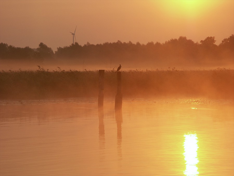 Morgenstimmung an Warnow bei Brinckmansdorf (Foto: Berth Brinkmann)