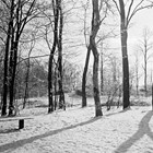 Stadtpark 1930 (Foto: Wolfgang Baier)