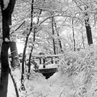 Brücke über den Rönngraben im Stadtpark 1925 (Foto: Wolfgang Baier)