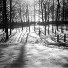 Winter im Stadtpark 1929 (Foto: Wolfgang Baier)