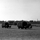 Heuernte in den Riekdahler Wiesen 1933 (Foto: Wolfgang Baier)