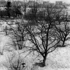 Unser Garten in den 50iger Jahren. (Foto: Sammlung Lemke)