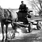 Mein Vater Friedrich Eggert und Trakener-Pferd Lotte in den 50iger Jahren. (Foto: Sammlung Lemke)