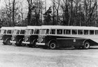 ‚Ikarus 60’ 1956 zum Einsatz auf der Linie 3. (Archiv: Rostocker Nahverkehrsfreunde)