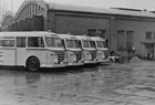 Ab 1956 wurden in Rostock auch die unverwüstlichen H6B-Busse eingesetzt. (Archiv: Rostocker Nahverkehrsfreunde)
