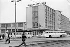 Ikarus 66 der Linie 3 und Straßenbahn der Linie 4 um 1974 am Steintor. (Archiv: Rostocker Nahverkehrsfreunde)