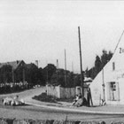 Osthafenkursrennen am Petridamm/Dierkower Damm 1953 (Foto: Archiv der Hansestadt Rostock)