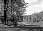 Stadtpark 1926 (Foto: Wolfgang Baier)