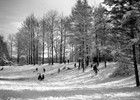 Rodeln im Stadtpark 1930 (Foto: Wolfgang Baier)