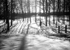 Rodeln im Stadtpark 1929 (Foto: Wolfgang Baier)