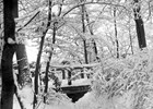 Stadtpark 1925 (Foto: Wolfgang Baier)