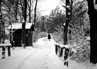 Stadtpark 1927 (Foto: Wolfgang Baier)