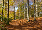 Herbst im Stadtpark. (Foto: Berth Brinkmann)