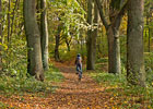 Herbst im Stadtpark. (Foto: Berth Brinkmann)