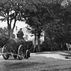 Straßenreinigung am Weißen Kreuz/Tessiner Chaussee vor 1914 (Foto: Archiv Werner Moennich, Hamburg)